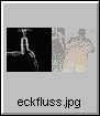 eckfluss