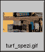 turf_spezi
