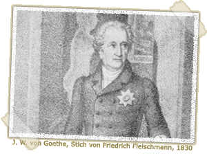 J. W. von Goethe, Stich von Friedrich Fleischmann, 1830