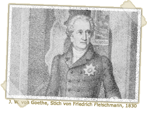 J. W. von Goethe, Stich von Friedrich Fleischmann, 1830 J. W. von Goethe, Stich von Friedrich Fleischmann, 1830